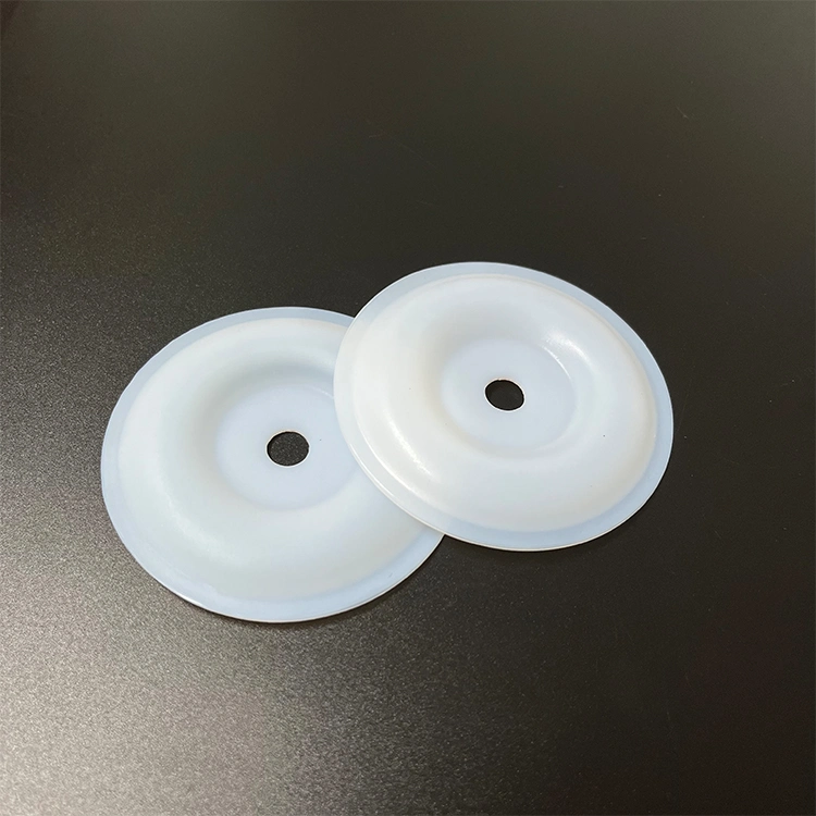Factory Directly Supply 00-1030-55 PTFE Diaphragm Air Diaphragm Pump Seals Replacement Part
