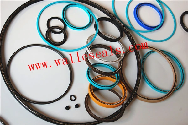 PTFE Spring Energized Seal for Mixing Head