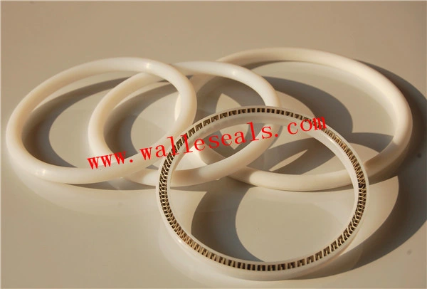 Excellent Performance Spring Energized Seal