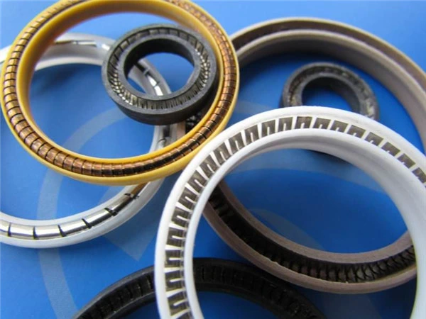 Excellent Performance Spring Energized Seal
